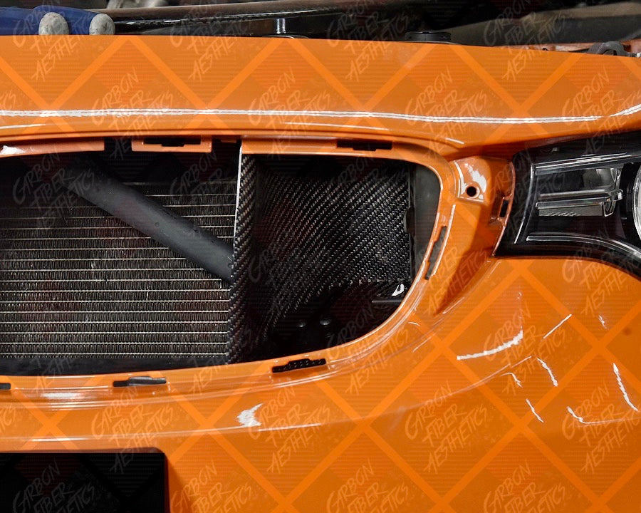 BMW F82 F83 M4 & F80 M3 Dry Carbon Fiber Dynamic Air Scoops