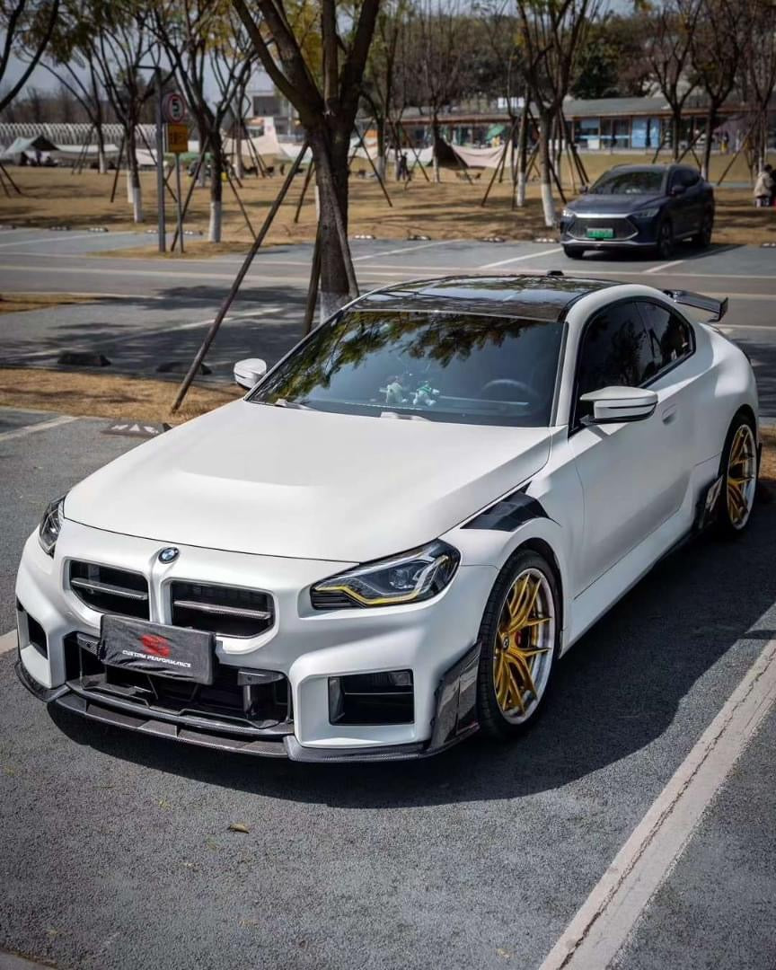 Bmw G87 M2 M Performance Style Dry Carbon Fiber Front Grilles 2023+