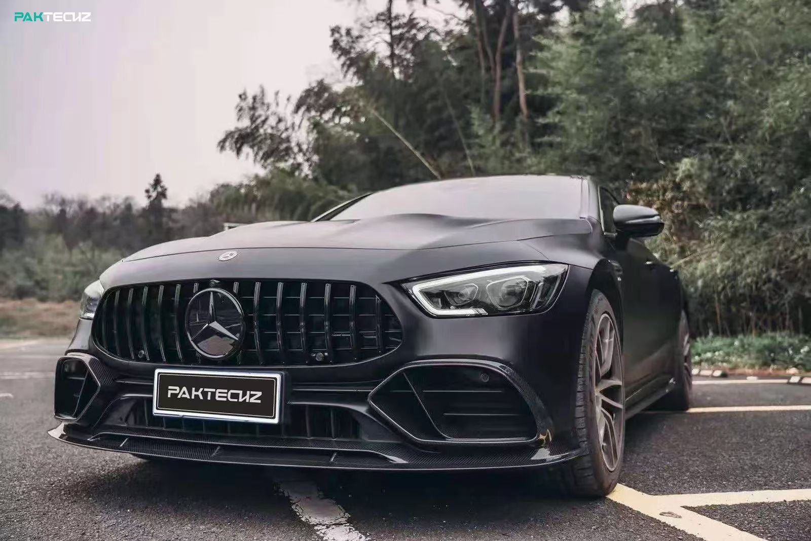 Mercedes Benz GT43/50/53 Carbon Fiber Front Lip X290 Paktechz 2019-24