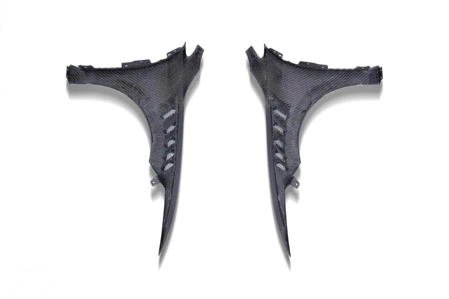 Volkswagen Golf GTI/R MK8 Dry Carbon Fiber Fenders CMST Design 2022+