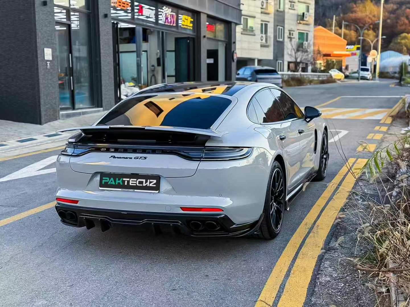Porsche Panamera Carbon Fiber Side Skirts 2017-2023 Paktechz 971 971.2