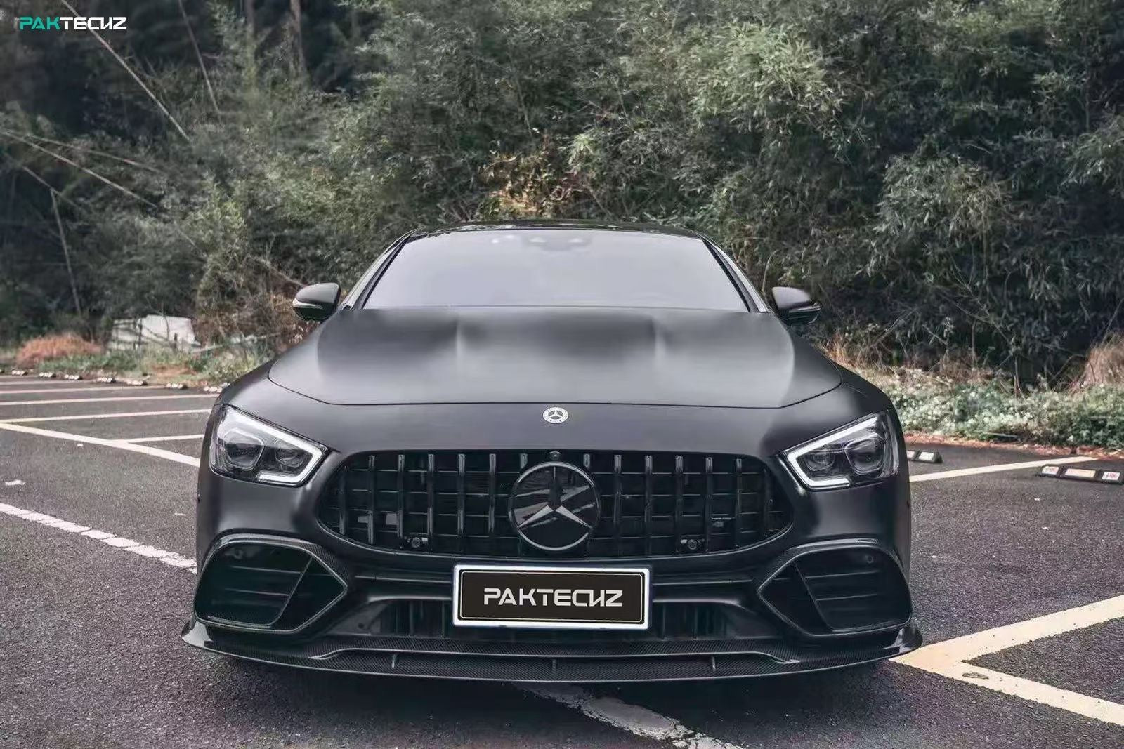 Mercedes Benz GT43/50/53 Carbon Fiber Front Lip X290 Paktechz 2019-24