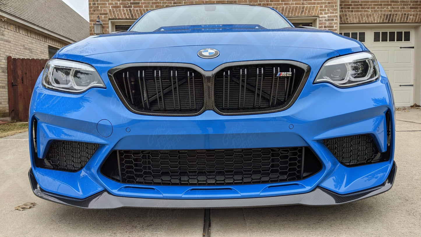 BMW F87 M2C / M2 Competition Dry Carbon Fiber Grille