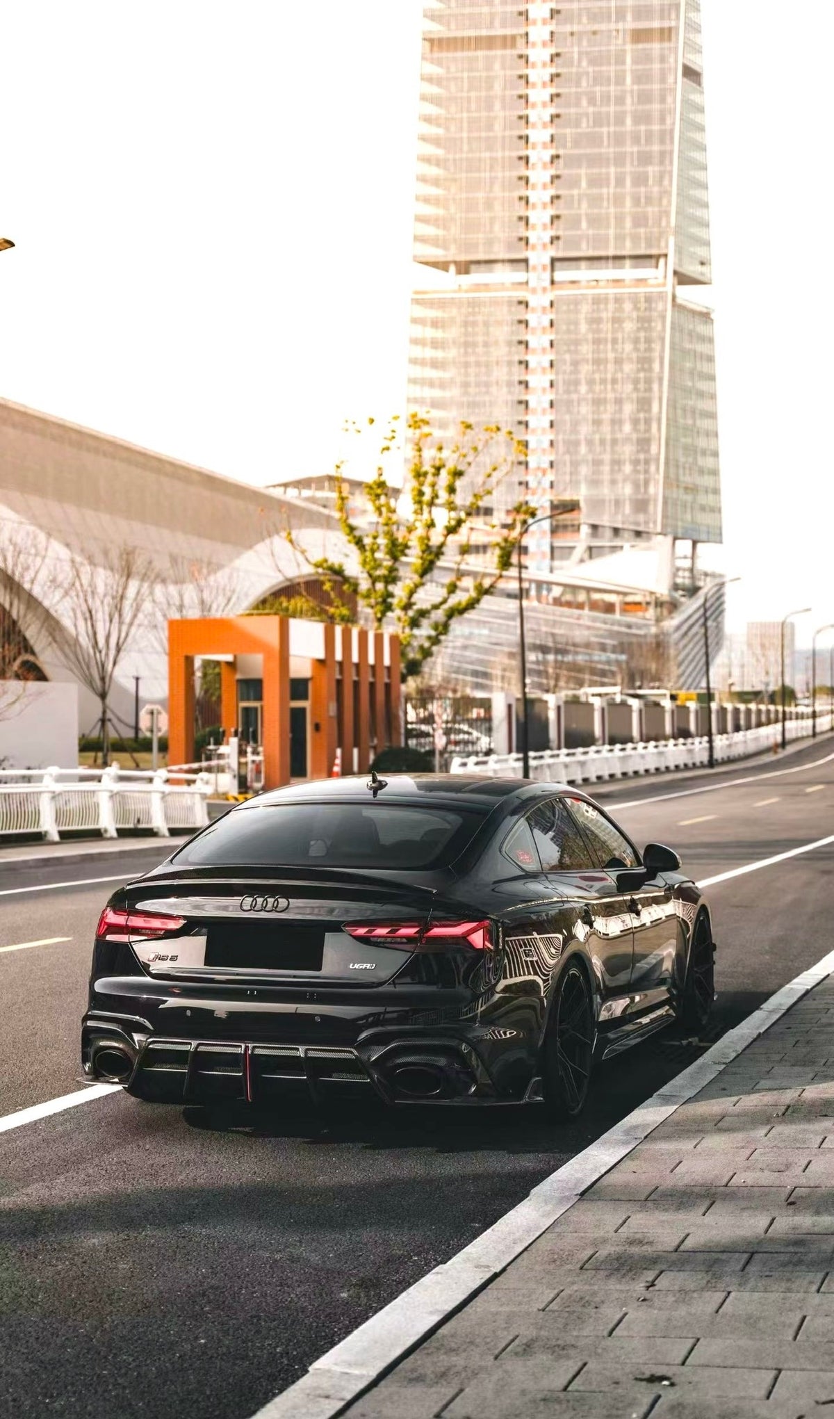 Audi B9.5 RS5 Carbon Fiber Rear Diffuser/Canards AE Design 2020-2025