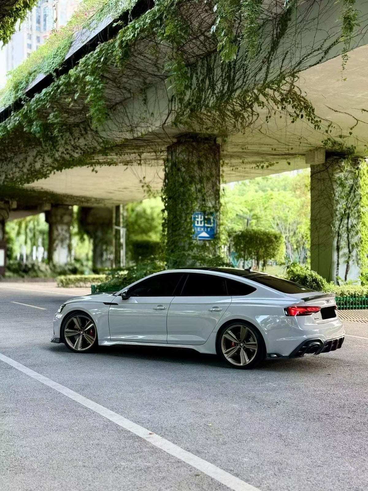 Audi B9.5 RS5 Carbon Fiber Rear Diffuser/Canards AE Design 2020-2025